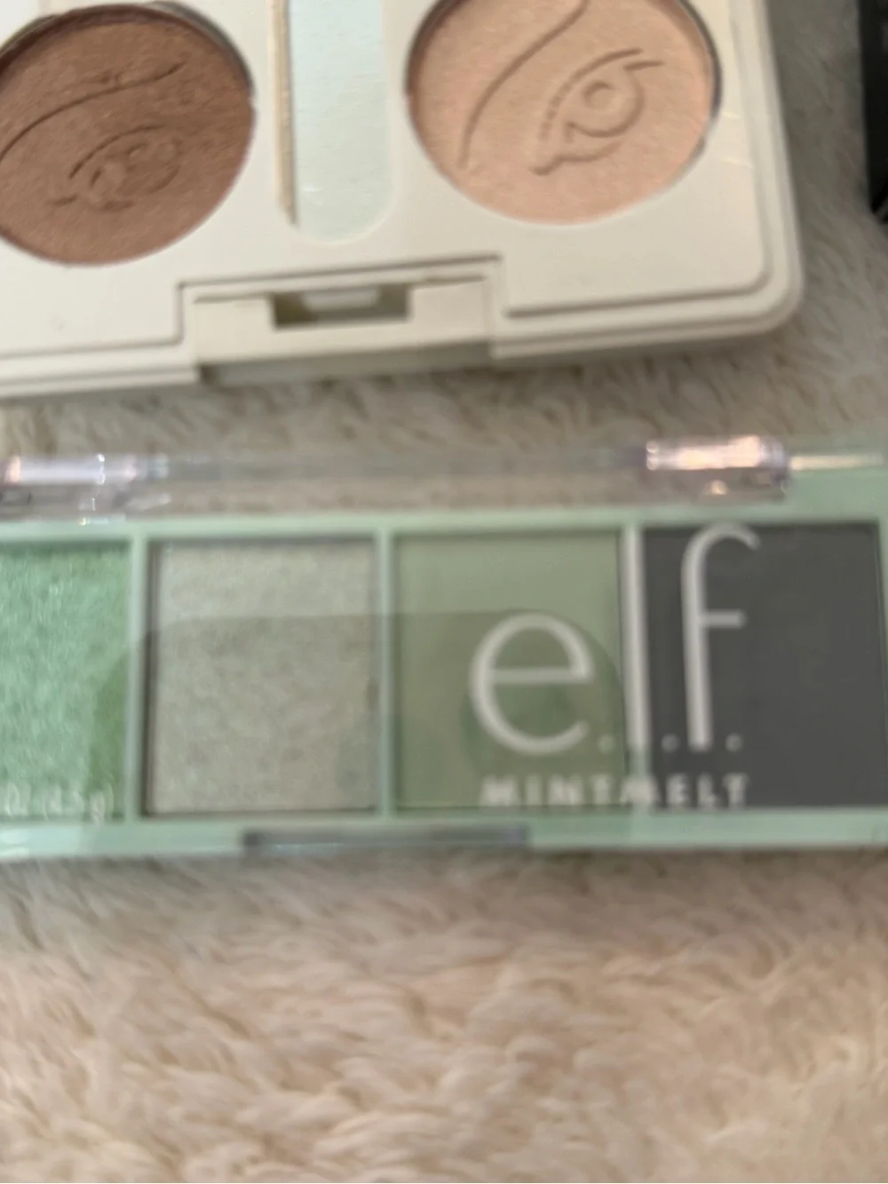 Women Makeup Mint & Rose Eye and Lip Set - Green, Pink, Purple, Blue, Brown